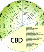 Image result for CBD Uses Chart