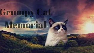 Image result for Grumpy Cat Grave