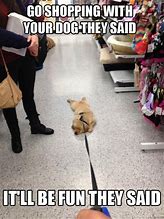 Image result for Shopping Dog Meme