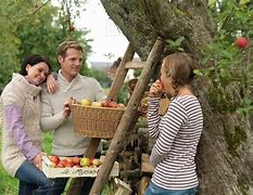 Image result for Person Picking Apples