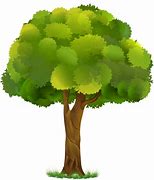 Image result for árvores