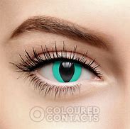 Image result for Blue Cat Eye Contact Lenses