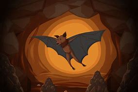 Image result for Bat Cave Drawing