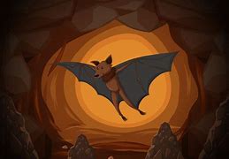 Image result for Funny Bat Cave Images