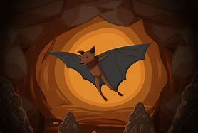 Image result for Spooky Cave Bats