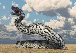 Image result for Largest Snake to Ever Exist