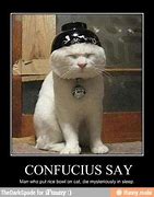 Image result for Black Cat Squint Meme