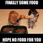 Image result for Sad Cat Food Meme
