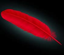 Image result for Writing Feather