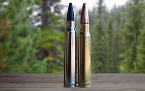 Image result for 308 Winchester vs 300 Win Mag