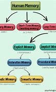 Image result for The Outline of How Memory Works