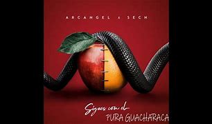 Image result for guachaje