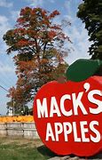 Image result for Mack's Apple's Apple Pick Park