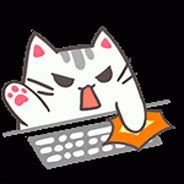 Image result for Angry Cat Typing Meme