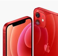 Image result for iPhone 12 Mini vs iPhone 12