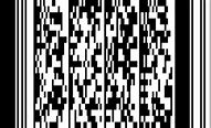 Image result for Real Maryland 2D Barcode
