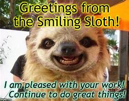 Image result for Sloth Work Meme