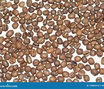 Image result for Coffee Grains Element