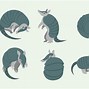 Image result for Armadillo Vector