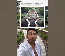 Image result for Yolo Frog