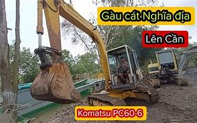 Image result for Rang Gau Cuoc PC60