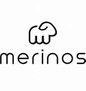Image result for AllBirds Merino Wool Shoes