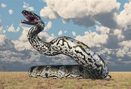 Image result for Largest Extinct Snake