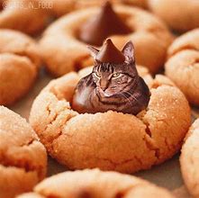 Image result for Cupcake Cat Meme