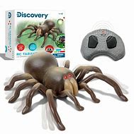 Image result for Animal Planet Spider Toy