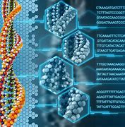 Image result for Human Genome Sequencing