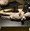 Image result for Pompeii Buried Alive