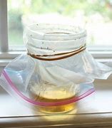 Image result for Easy Homemade Fruit Fly Trap
