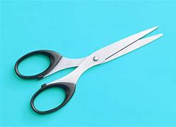 Image result for Serrated Scissors