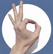 Image result for Vulcan Hand Sign Called