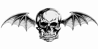 Image result for Bat Skull Drawing
