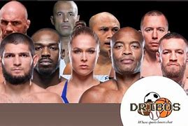 Image result for Top 10 UFC Fighters
