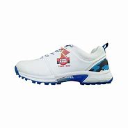 Image result for SS Cricket Shoes