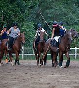 Image result for Summer Polo Riding