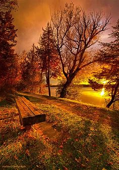 Pin by gaby coty on Nature | Beautiful nature, Autumn scenery, Beautiful landscapes