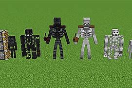 Image result for Monster School Wither Skeleton