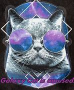 Image result for Funny Galaxy Cat Shirt