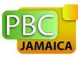Image result for CoLaz Smith TV Jamaica Bob Fall