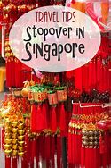 Image result for Fun Things to Do Singapore