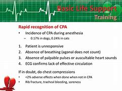 Image result for Recover Initiative CPR PowerPoint