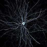 Image result for Blue Neuron Brain
