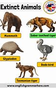 Image result for Animals That Are Now Extinct