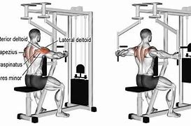 Image result for Back Exercises On Fly Machine