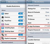 Image result for Restrictions On iPhone