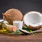 Image result for Coconut Oil Substitute