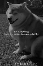 Image result for Wolf Doge Meme
